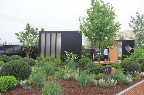 解讀園林綠化施工全過程，教你如何成為綠化行業大佬