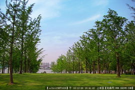 城市綠化管理中的道路景觀與園林節點設計資料應用