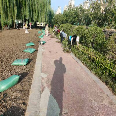 種植營養土 園林綠化工程的基石——從2kg/袋的細節到多年施工經驗